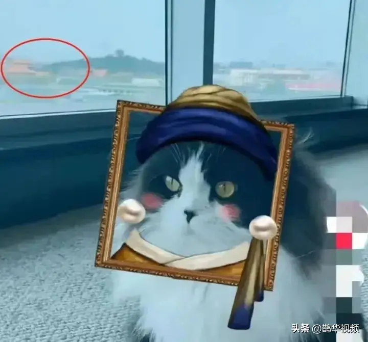 冲上热搜!知名女演员的富豪丈夫,被限制高消费