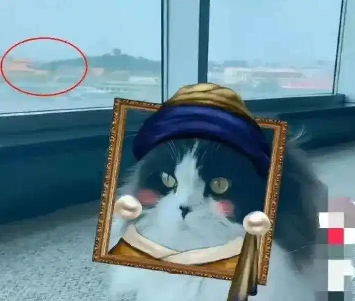 知名女演员王艳的富豪丈夫，已被限制高消费