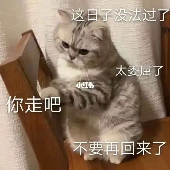 我们的愤怒，究竟在表达什么？