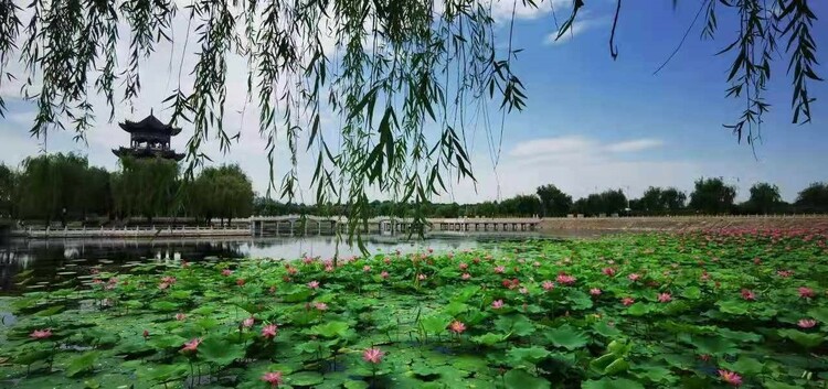 宝鸡市岐山县：做大文商旅融合 助力区域经济高质量发展