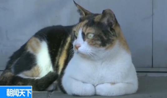 【早八点】10万亿粤港澳大湾区规划来了！四大重点必看