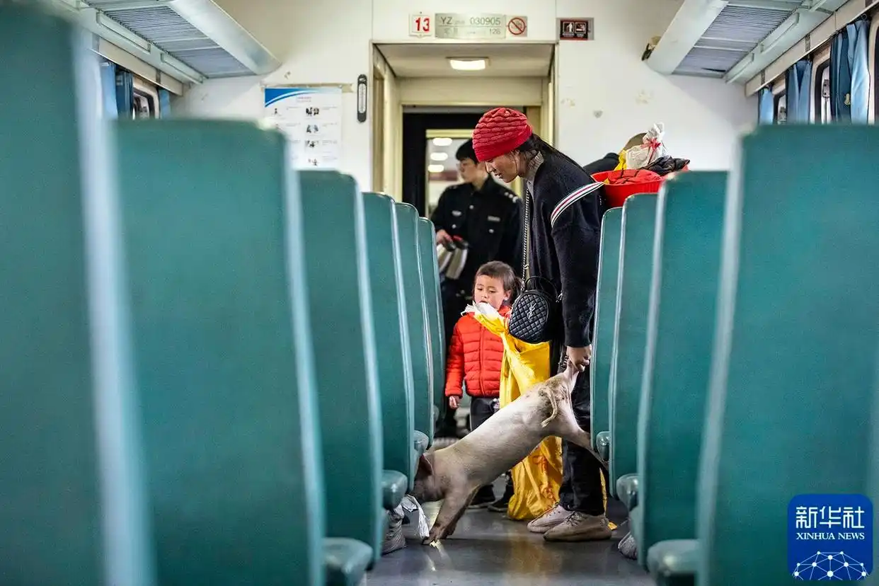 “国社之镜·世纪光影”新华社新闻摄影展｜时空巨变（下篇）