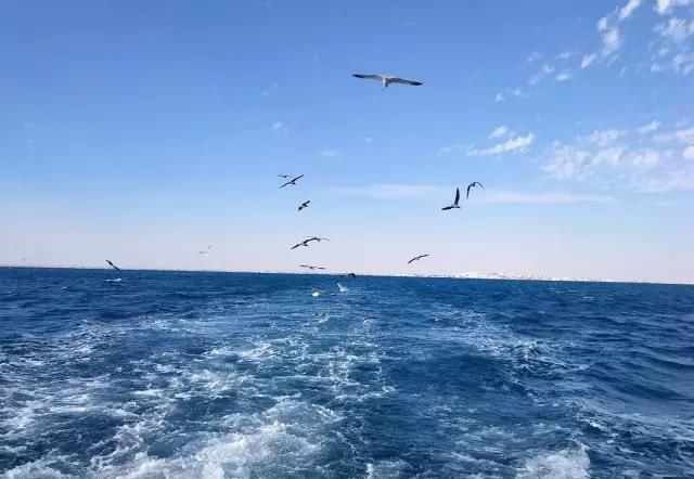 埃及游记- 飞越7000公里，只为遇见你