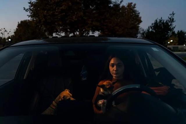 全美最大成人网站，为何会沦为「性侵少女」的温床？