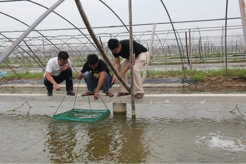 【新时代 新作为 新篇章】江苏大丰：“三牵手”走出党建扶贫新路子