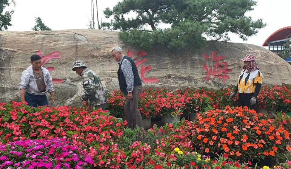 【新时代 新作为 新篇章】江苏大丰：“三牵手”走出党建扶贫新路子