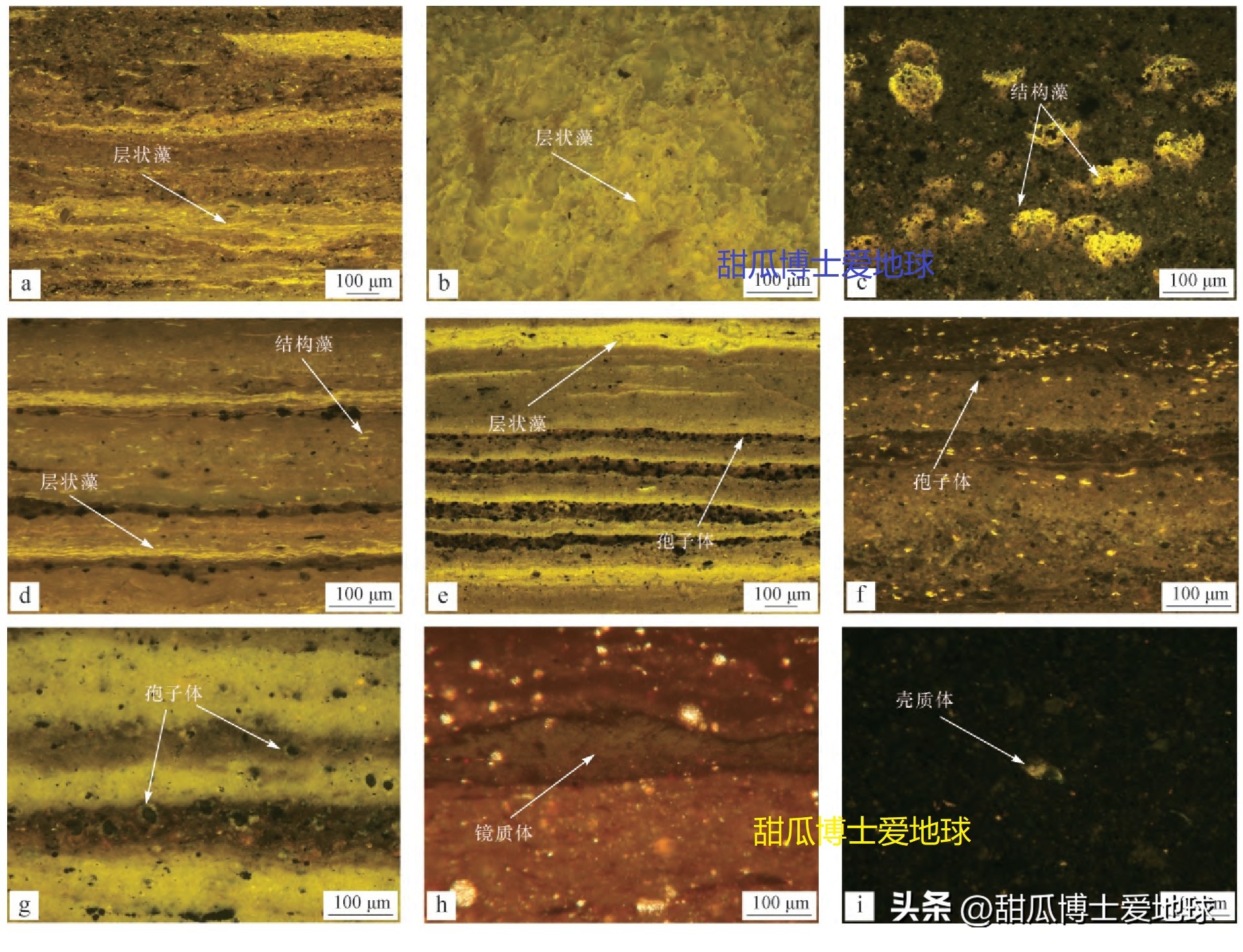 盘点河南油田的勘探开发历史，新时期的河南油田还能再创辉煌么