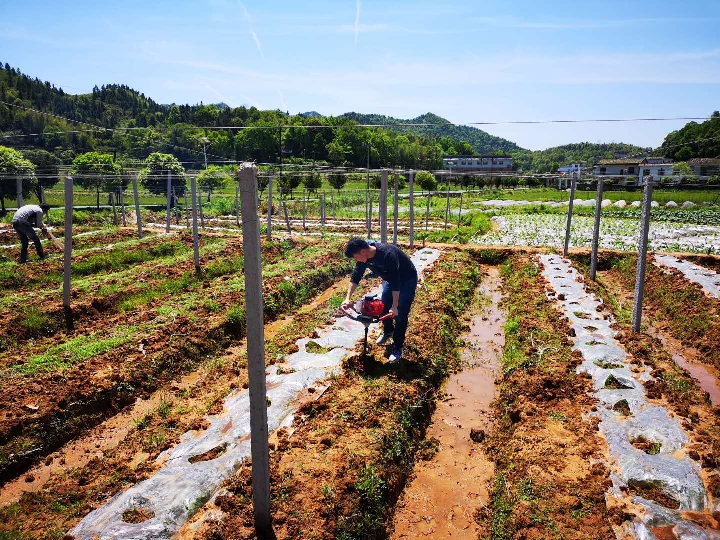 百年五四精神激励新时代中国青年