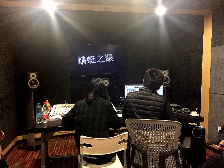 徐冰：以蜻蜓之眼看“世界图像”