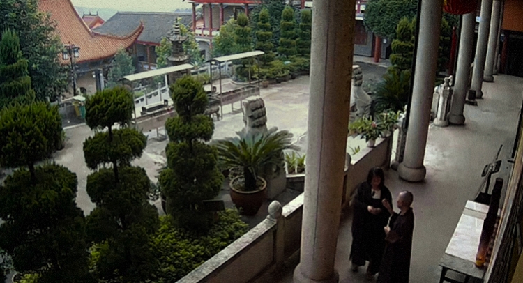 徐冰：以蜻蜓之眼看“世界图像”