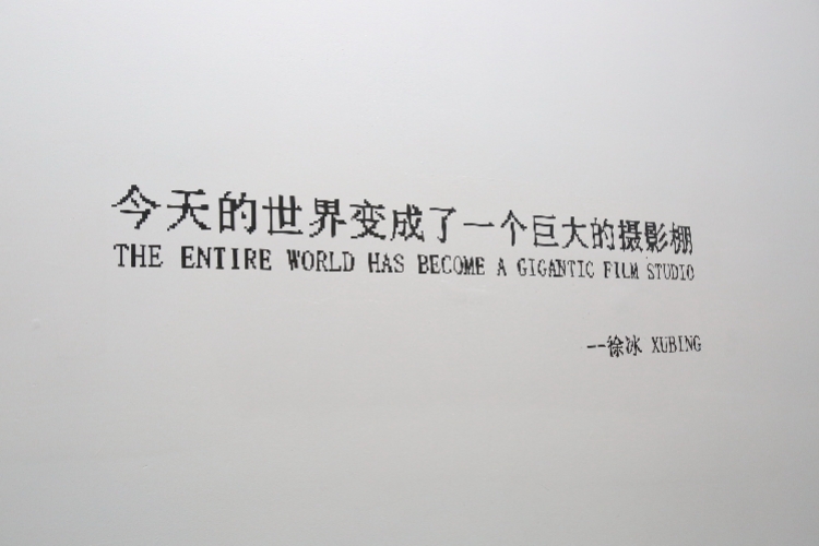 徐冰：以蜻蜓之眼看“世界图像”