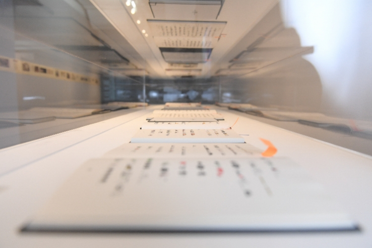 徐冰：以蜻蜓之眼看“世界图像”