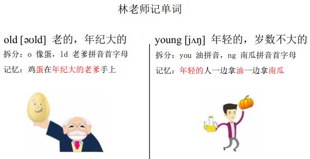 英语单词快速记忆法，小学生必备英语单词表