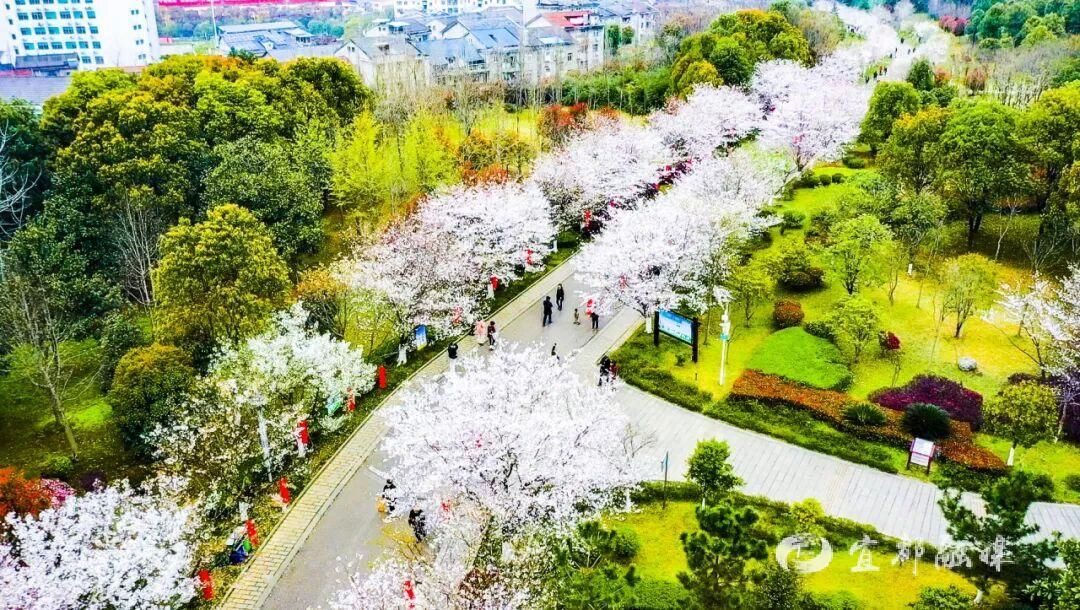 我们的“十四五” | 这些数字，藏着宜都人的幸福！