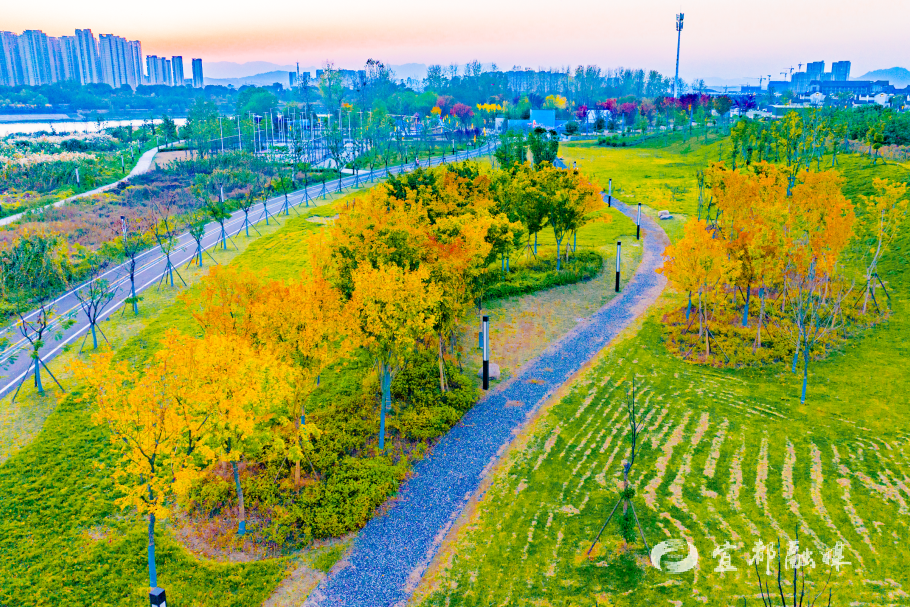 我们的“十四五” | 这些数字，藏着宜都人的幸福！