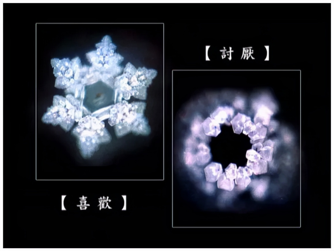 《水知道答案》：对水说些好话，体验它带给你的强大疗愈力