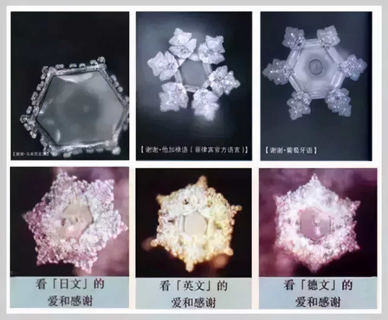 《水知道答案》：对水说些好话，体验它带给你的强大疗愈力