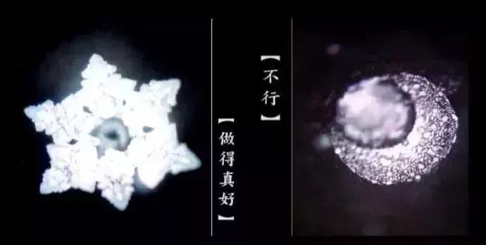 《水知道答案》：对水说些好话，体验它带给你的强大疗愈力