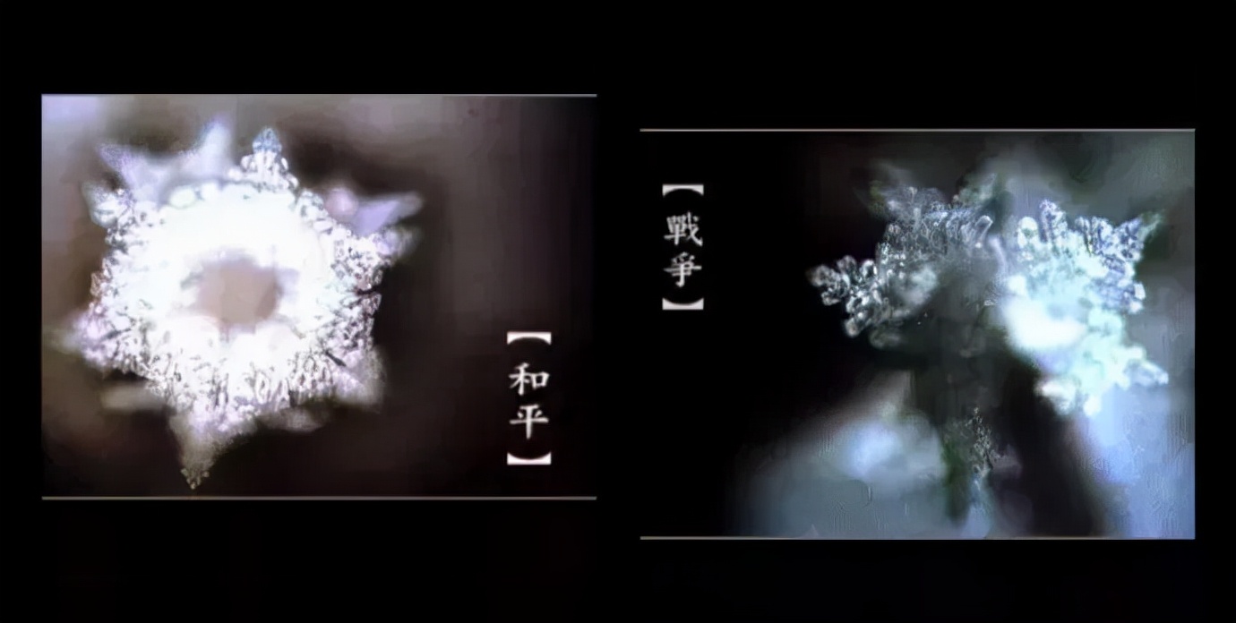 《水知道答案》：对水说些好话，体验它带给你的强大疗愈力