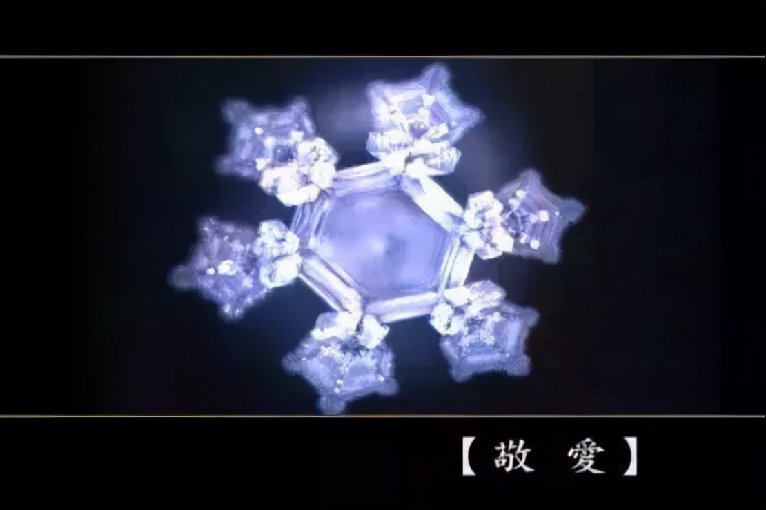 《水知道答案》：对水说些好话，体验它带给你的强大疗愈力
