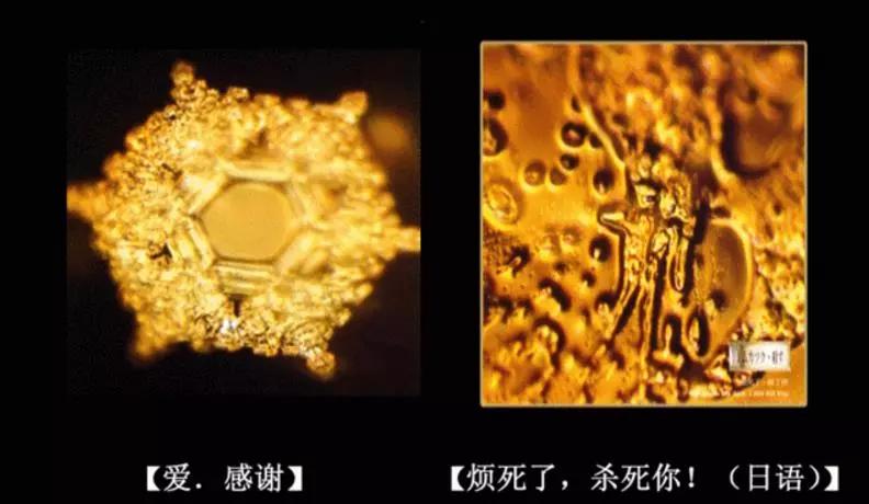 《水知道答案》：对水说些好话，体验它带给你的强大疗愈力