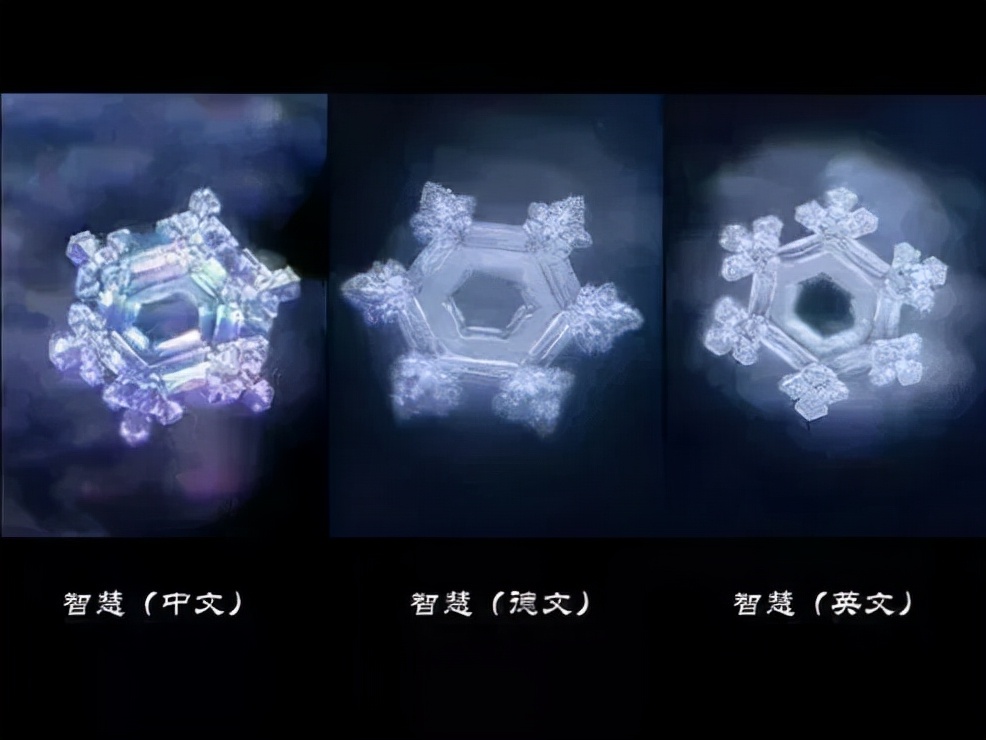 《水知道答案》：对水说些好话，体验它带给你的强大疗愈力