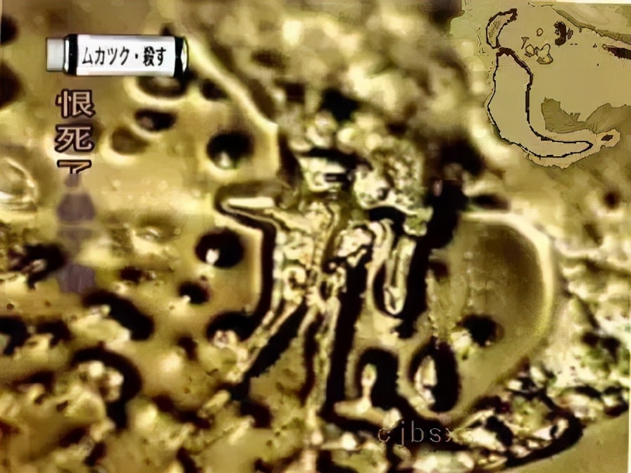 《水知道答案》：对水说些好话，体验它带给你的强大疗愈力