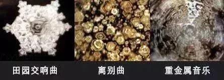 《水知道答案》：对水说些好话，体验它带给你的强大疗愈力