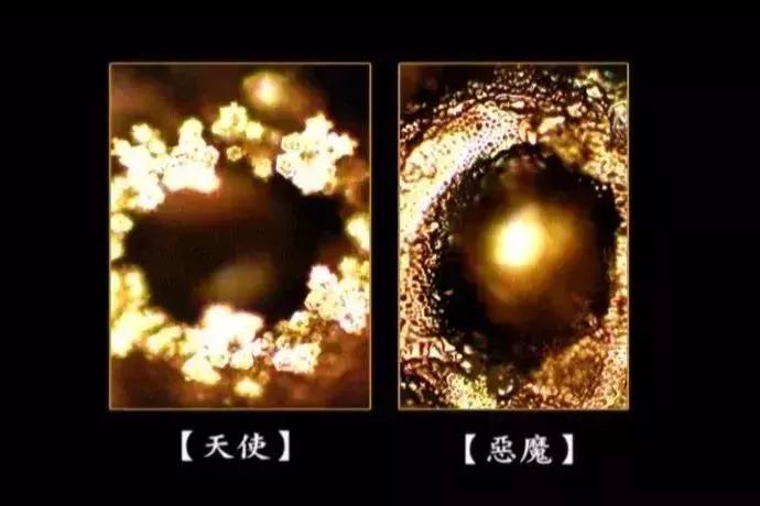 《水知道答案》：对水说些好话，体验它带给你的强大疗愈力