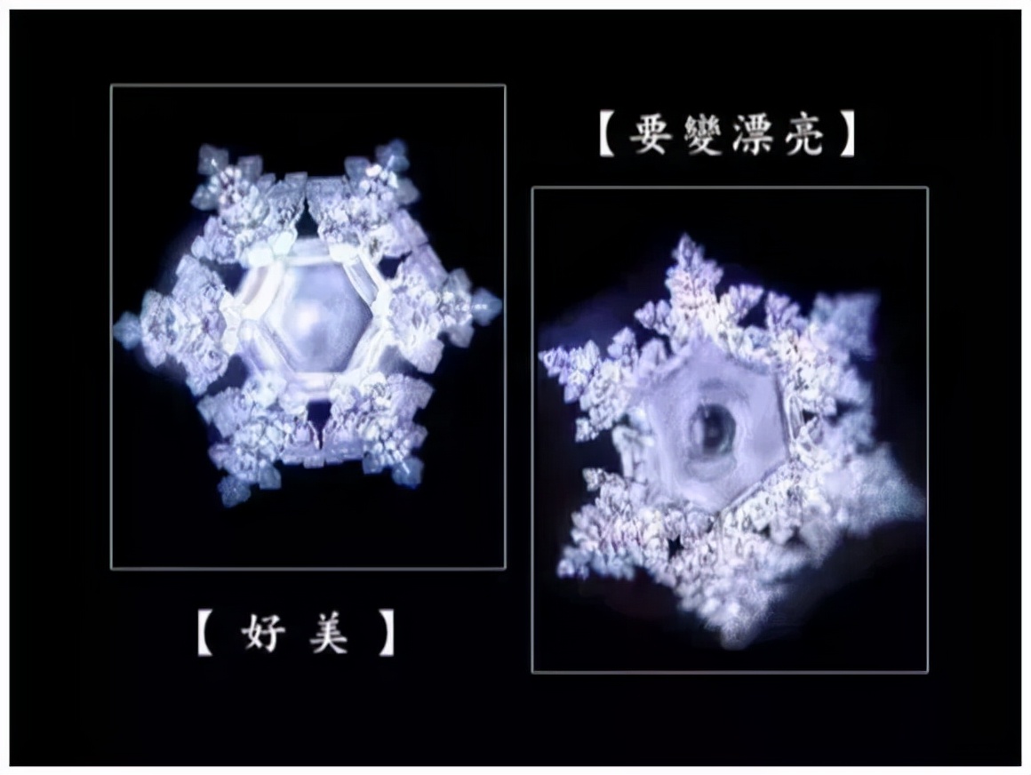 《水知道答案》：对水说些好话，体验它带给你的强大疗愈力