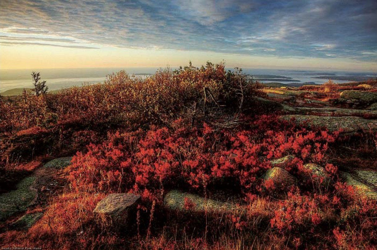 定焦与变焦镜头