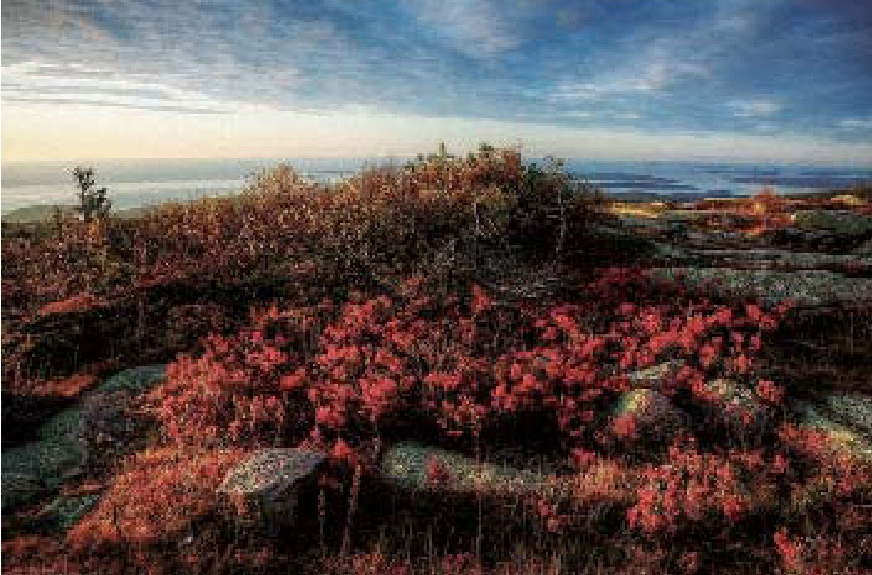 定焦与变焦镜头