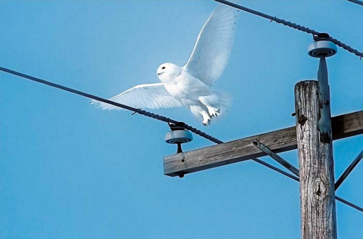 定焦与变焦镜头