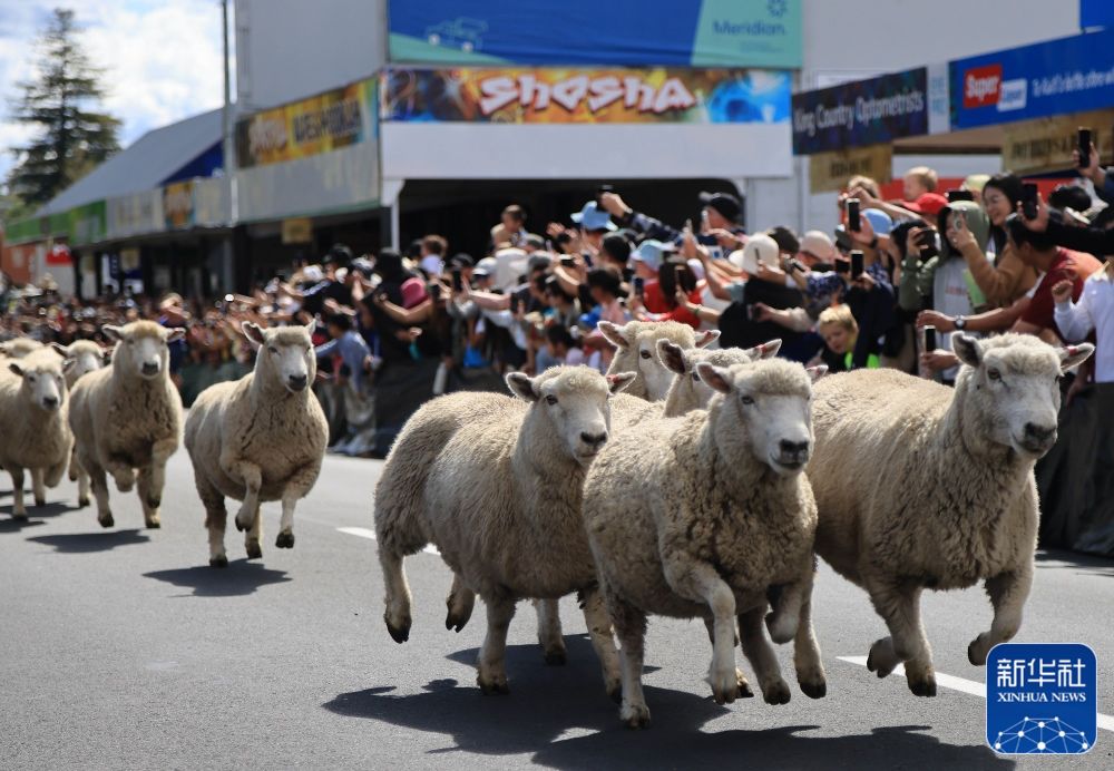 2025年新华社年度照片·国际新闻