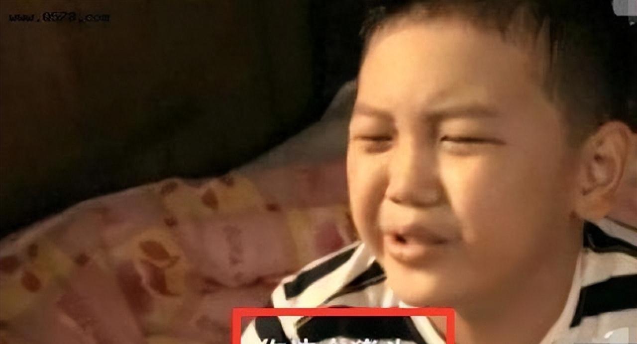 被继子掌掴，亲儿子骂猪头，今复出替夫还债，王艳豪门路有多坎坷