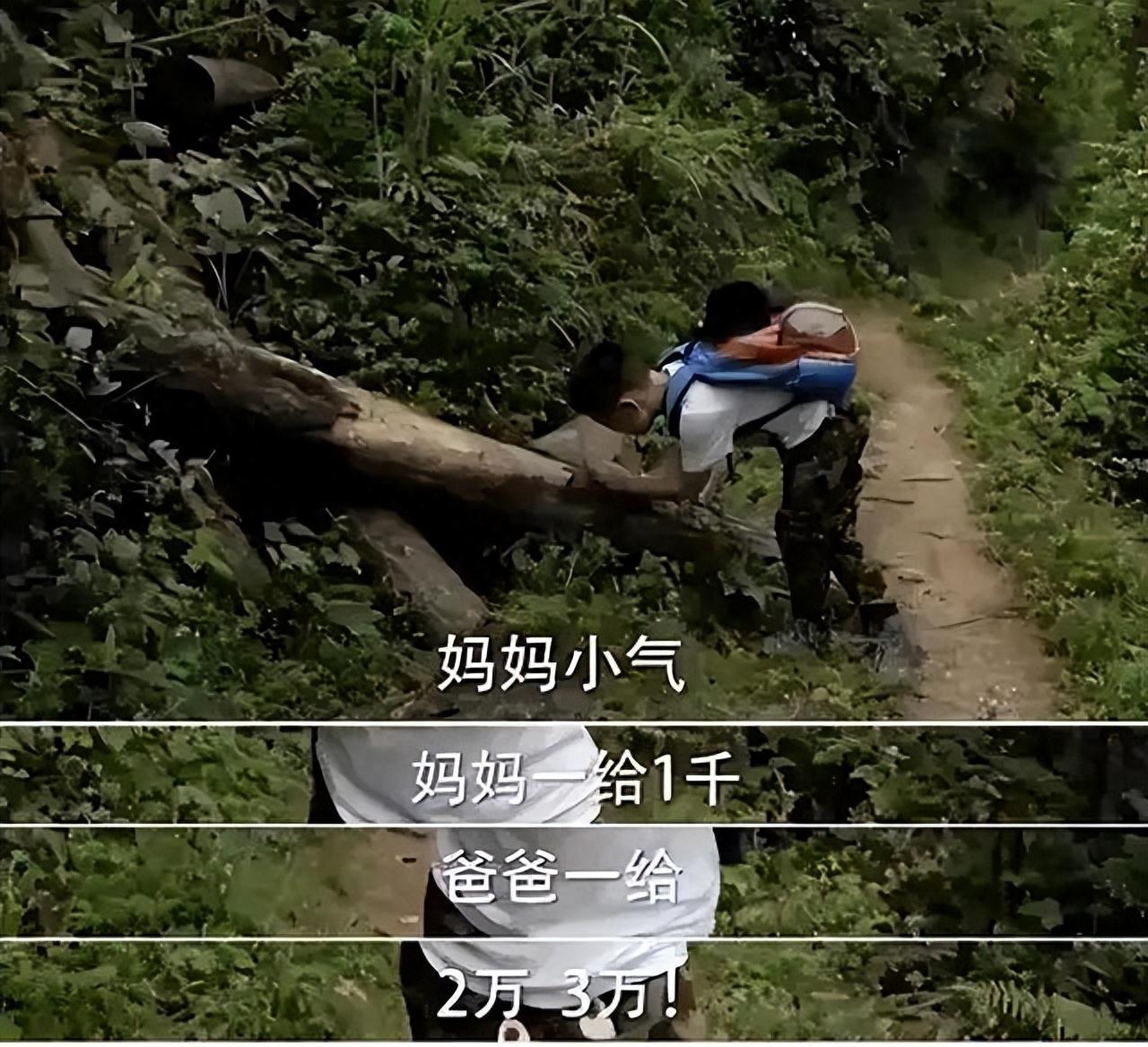 被继子掌掴，亲儿子骂猪头，今复出替夫还债，王艳豪门路有多坎坷