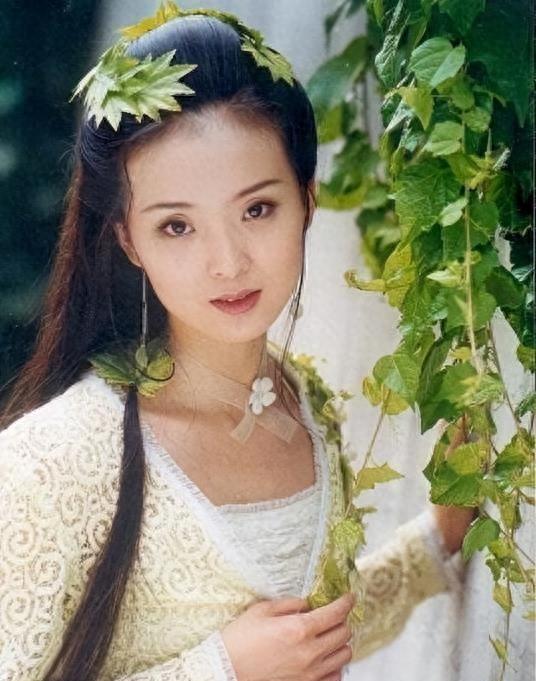 被继子掌掴，亲儿子骂猪头，今复出替夫还债，王艳豪门路有多坎坷