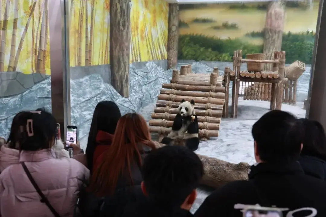 澎湃活力迎新年！宜宾元旦文旅市场热力十足、平稳有序