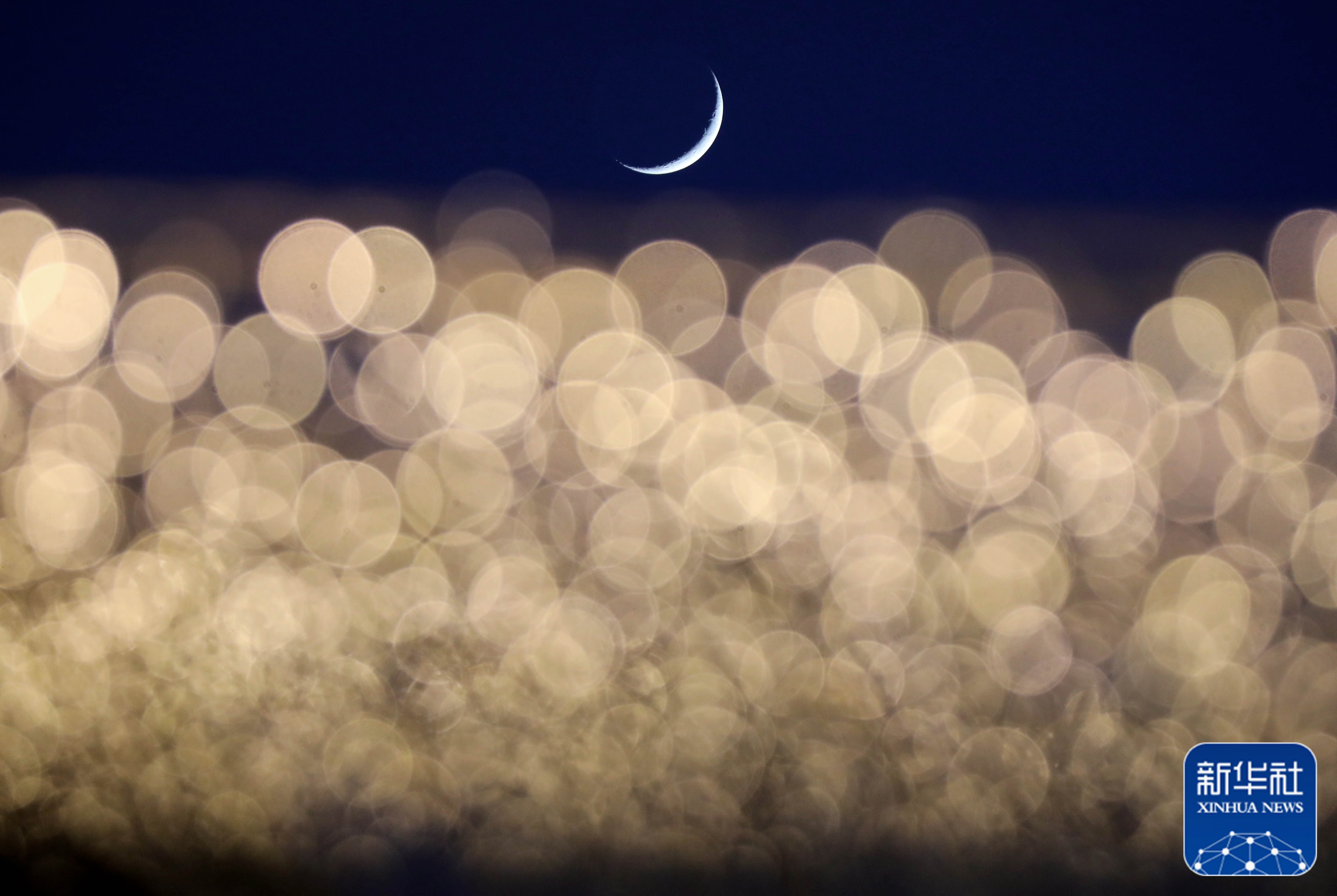 2025年新华社年度照片·国际新闻