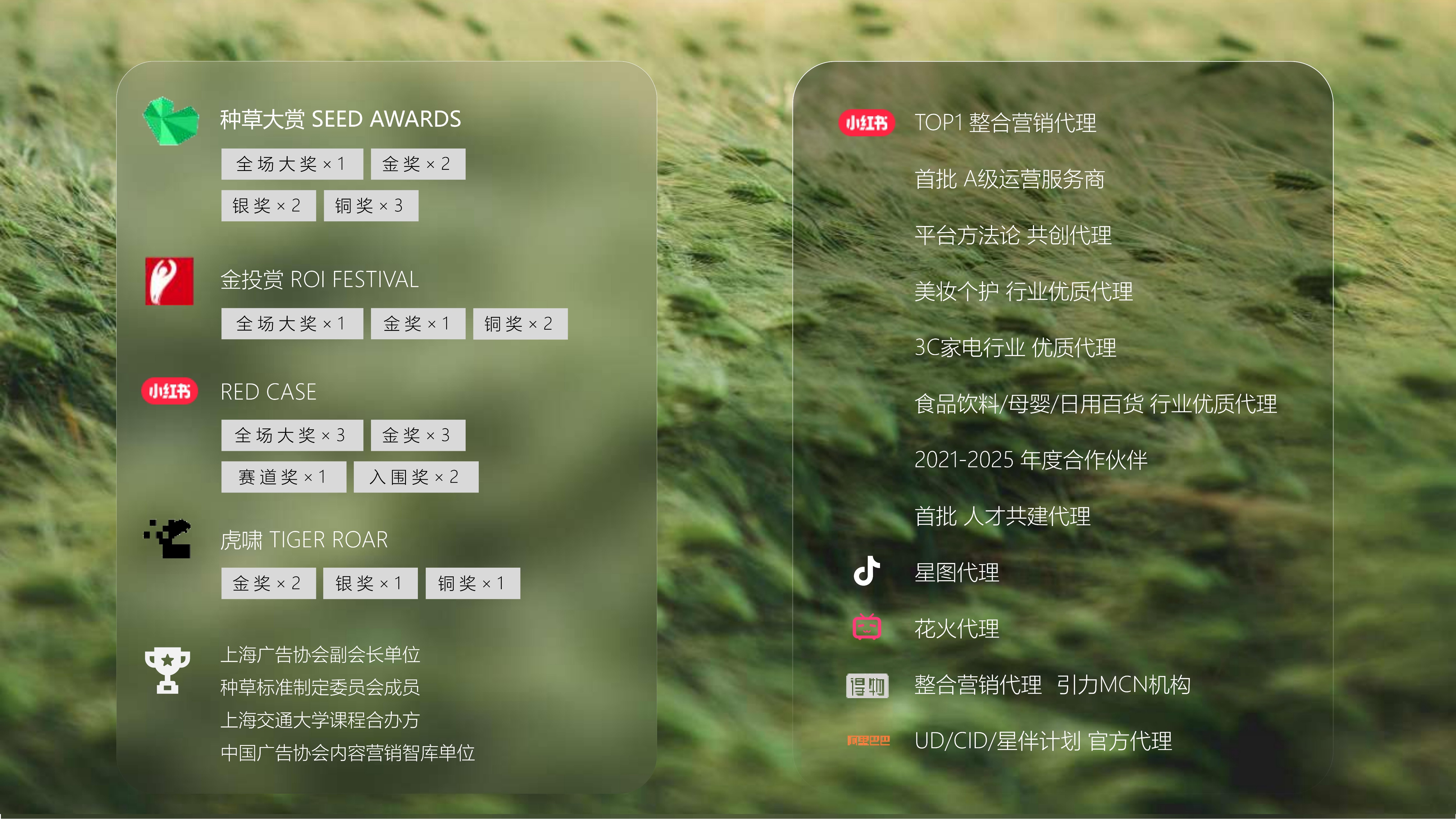 走进一级数字广告企业（篇二）：上海明堂文化传播有限公司、上海破圈广告有限公司