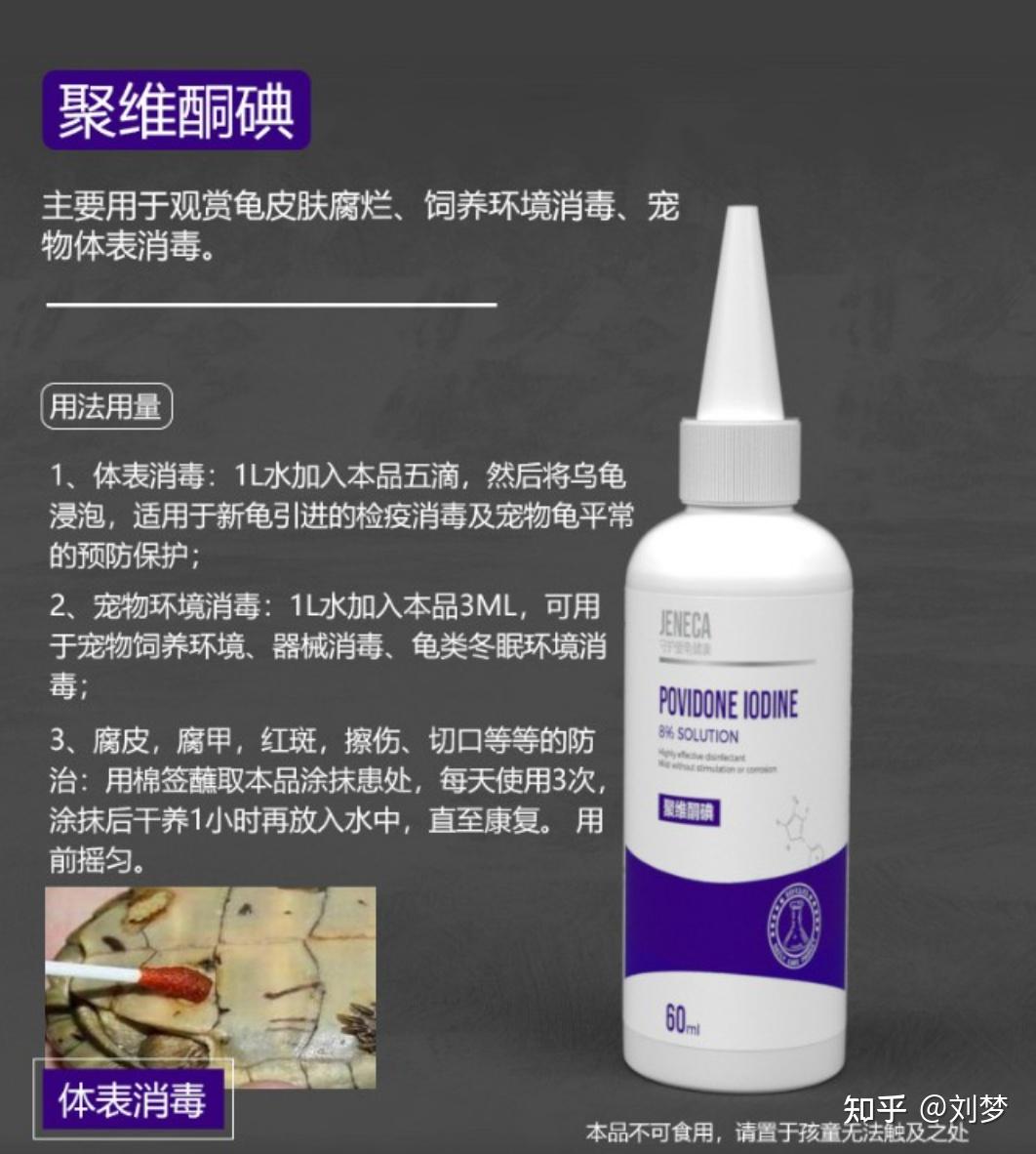 养龟必读：新手养龟入门指南（纯干货）