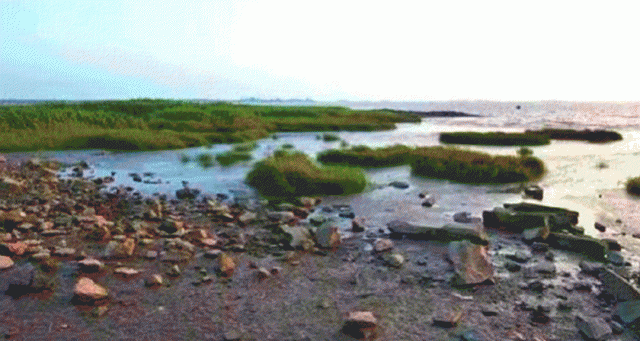 太仓这座现代化滨江新城30年奋斗史太励志了！