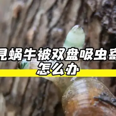 僵尸蜗牛现世!夜间荧光恐怖片既视感