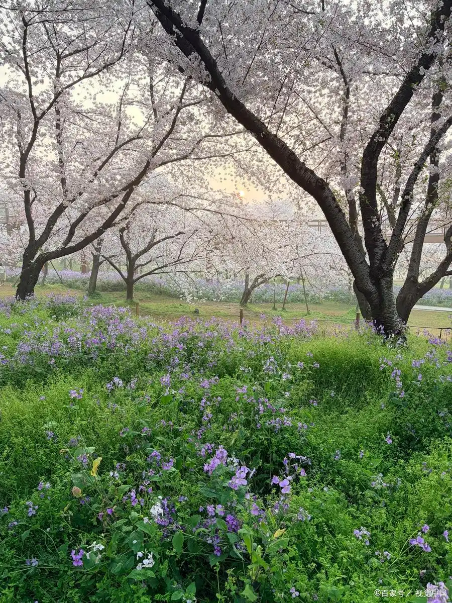 都市时报报纸登报电话——挂失公示咨询具体流程