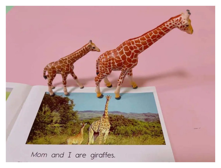 1岁6个月,听懂200多英语单词,妈妈做对了什么?详细经验分享