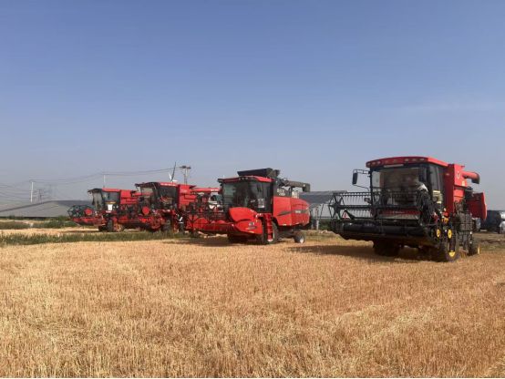 开创！2026新未来——区委三届十三次全会暨区委经济工作会议精神引发热议