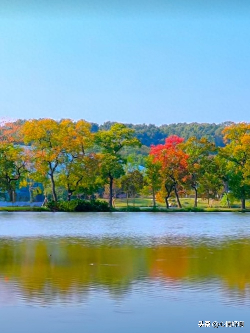 取舍的智慧：不求尽善，但求心安