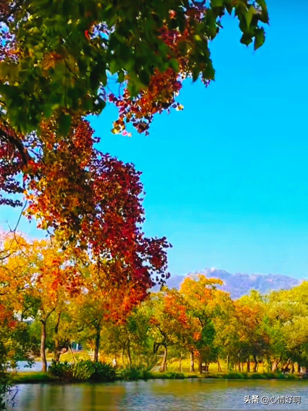 取舍的智慧:不求尽善,但求心安