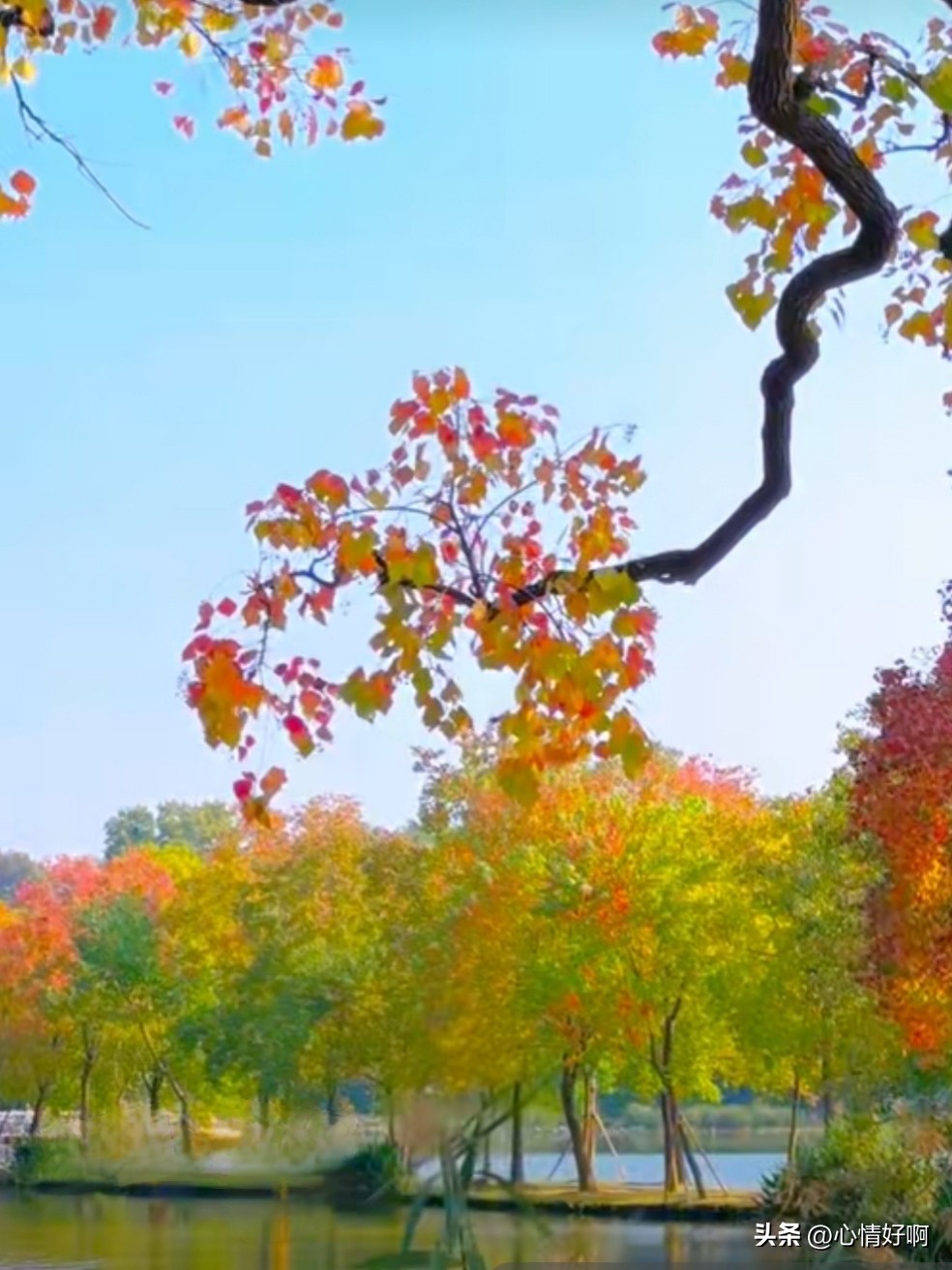 取舍的智慧:不求尽善,但求心安