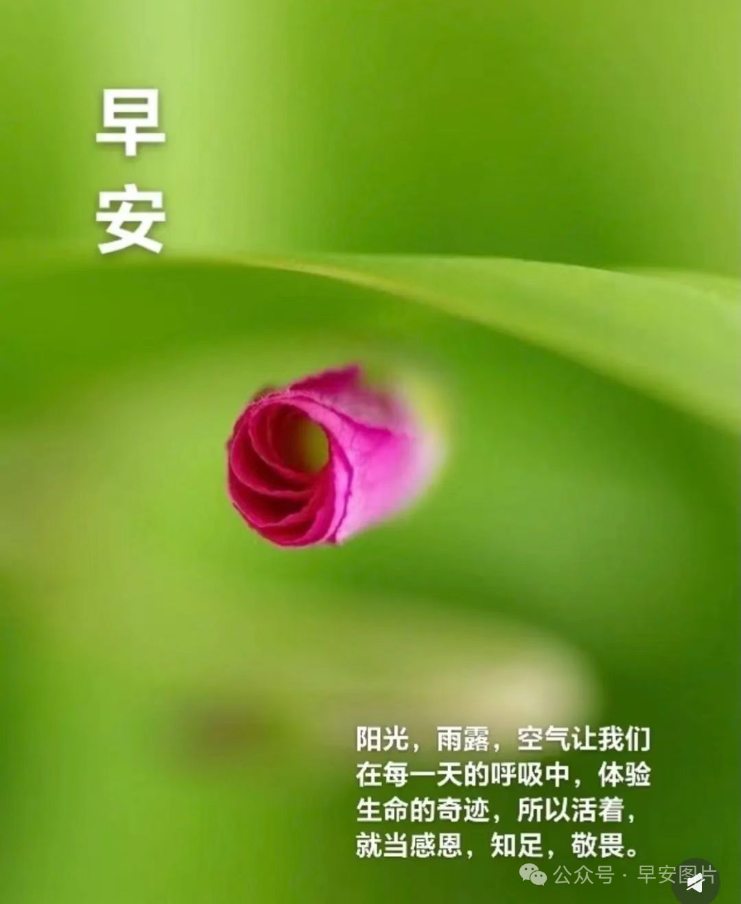 今日最新版早上好表情图片大全，金秋岁月，平安幸福